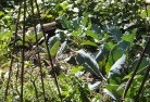 Upper Lockyerorganic-gardening-3.jpg; ?>