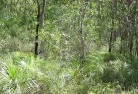 Upper Lockyerorganic-gardening-5.jpg; ?>