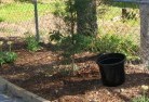 Upper Lockyerorganic-gardening-6.jpg; ?>