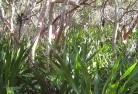 Upper Lockyerpermaculture-7.jpg; ?>